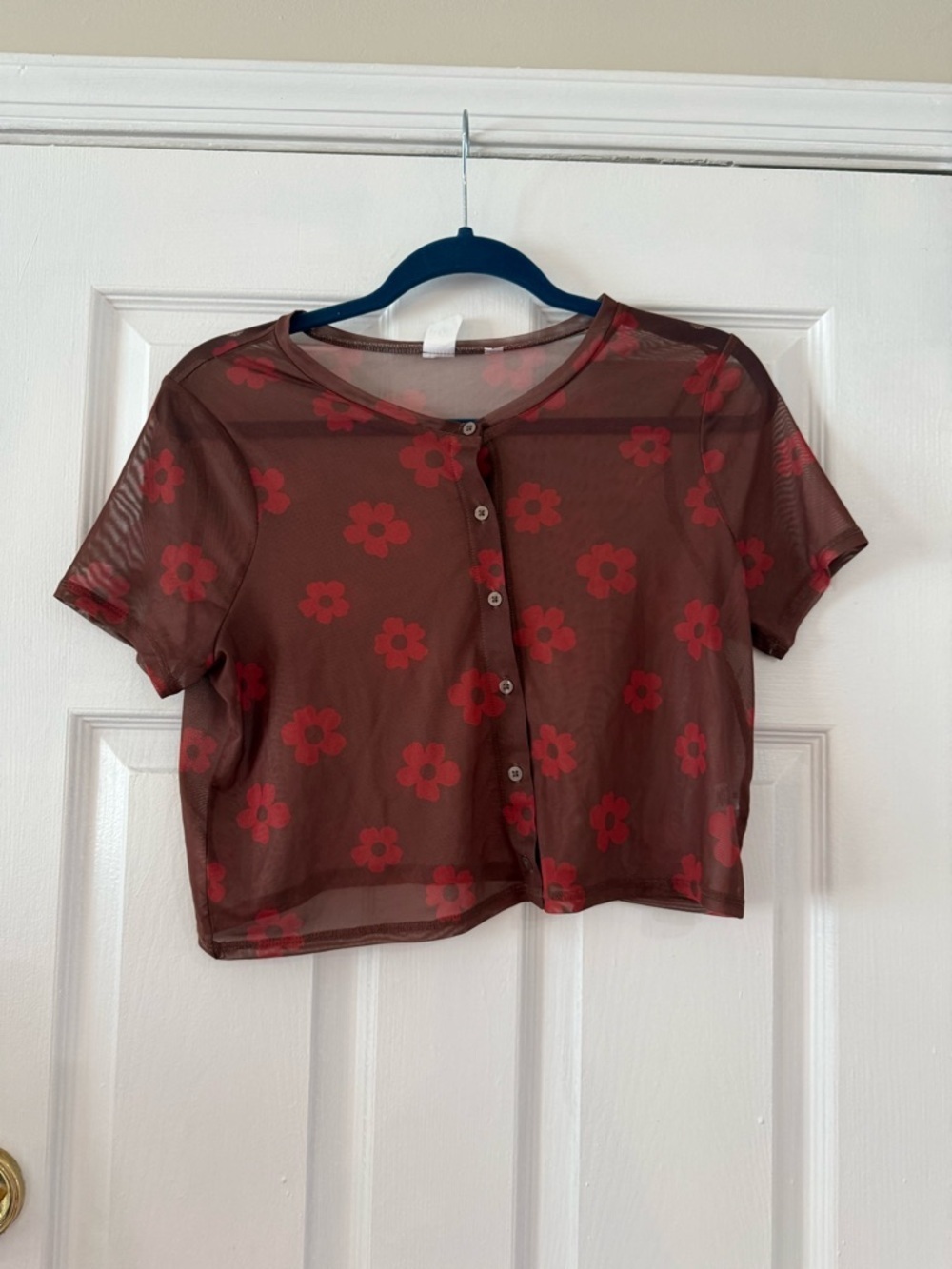 Sheer Floral Mesh Crop Top - Red Floral on Brown